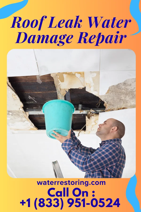 Roof Leak Water Damage Repair in Sparta, GA